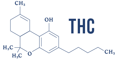 THC molecule illustration