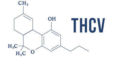 THCV molecule illustration